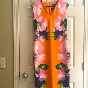 Floral Print Knee Length Dress